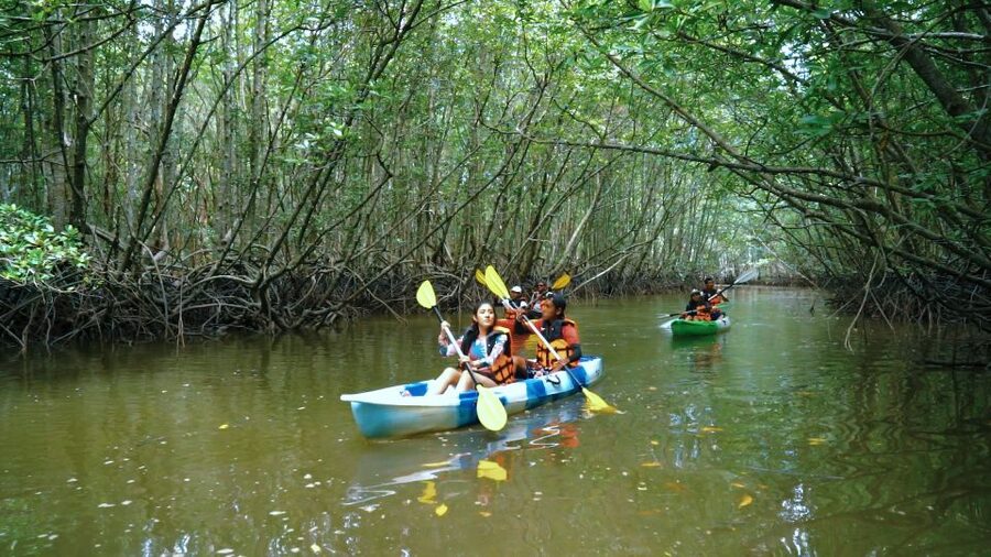 Krabi: Kayak in Mangrove Forest with Meal Aonang - Quiet waterways just outside Ao Nang