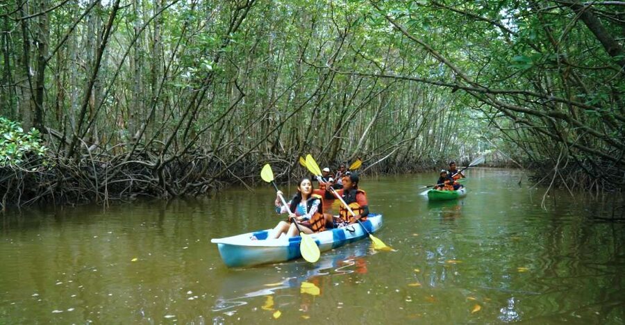 Krabi: Kayak in Mangrove Forest with Meal Aonang - Lunch in the middle of the outing