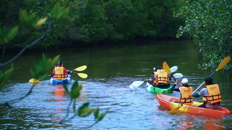 Krabi: Kayak in Mangrove Forest with Meal Aonang - The pickup from Ao Nang and Ao Nam Mao