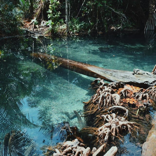 Krabi kayaking and swimming clongrood Tour - The Ride from Ao Nang to the Forest