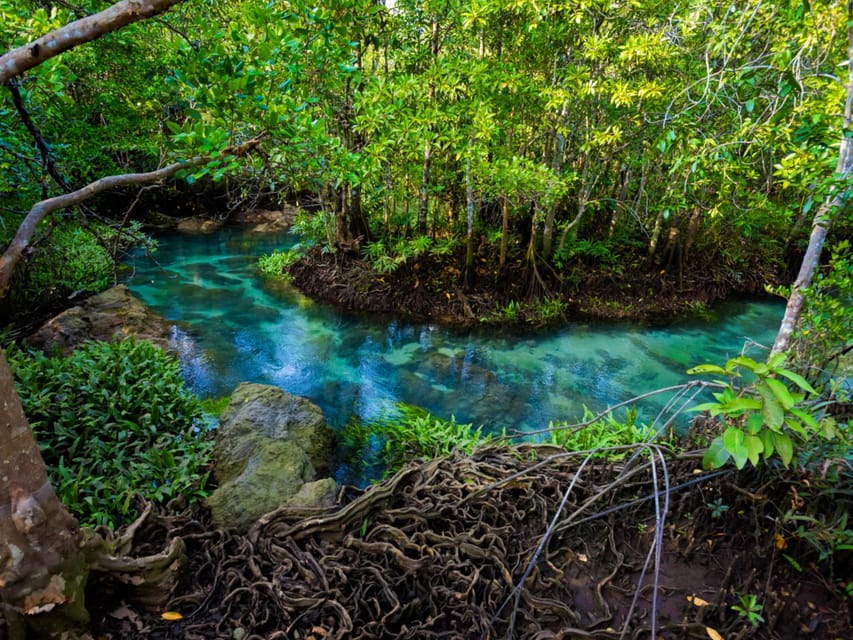 Krabi: Kayaking, Crystal Lagoon, and Fish Spa in Klong Root - Swimming in the clear spring water