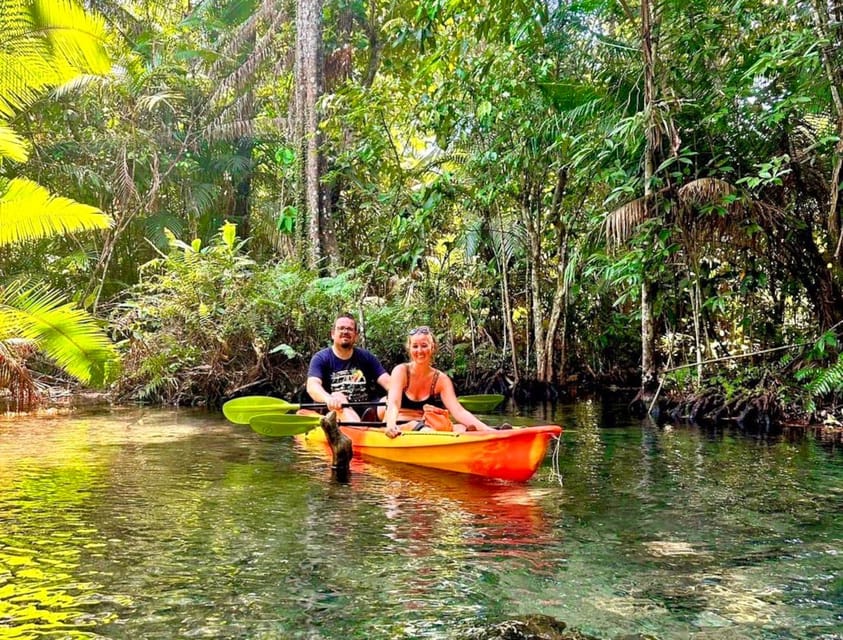 Krabi: Kayaking, Crystal Lagoon, and Fish Spa in Klong Root - The pineapple farm is the least dependable stop