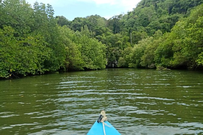 Krabi: Kayaking Tour at Ban Bor Thor Ancient Cave & Mangroves - What the $58.47 price includes