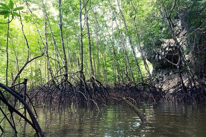 Krabi: Kayaking Tour at Ban Bor Thor Ancient Cave & Mangroves - The main concerns before booking
