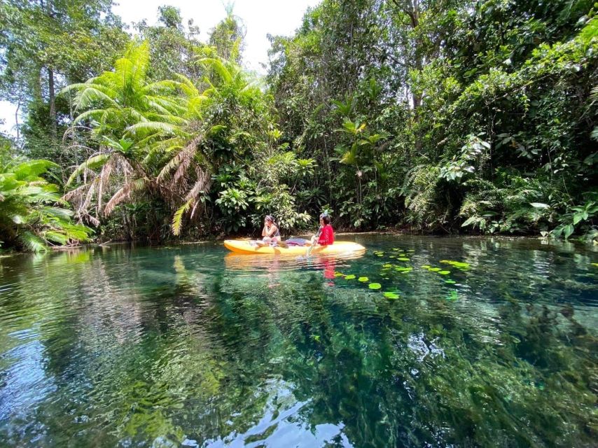 Krabi: Khlong Nam Sai Lagoon with Kayaking & Optional ATV - Paddling through rubber trees and orchids