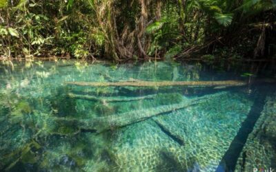 Khlong Nam Sai Lagoon with Kayaking & Optional ATV
