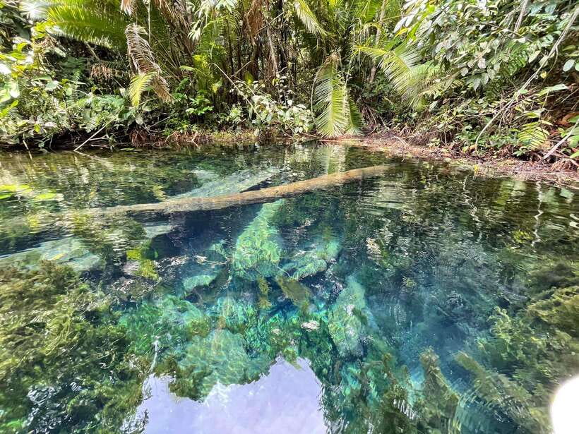 Krabi: Klong Root (Crystal lake) Kayaking tour - A Forest Route, Not a Beach Excursion