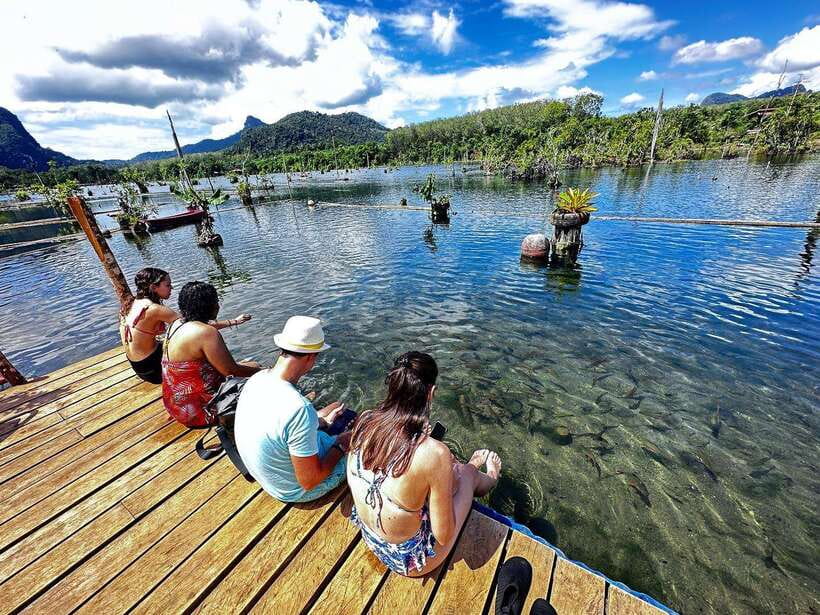 Krabi: Klong Root (Crystal lake) Kayaking tour - Who Should Book This Kayak Trip?
