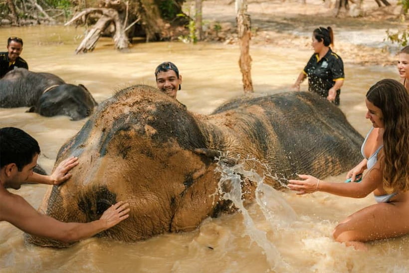 Krabi: Love Elephant Sanctuary Tour - Key points to know before you go