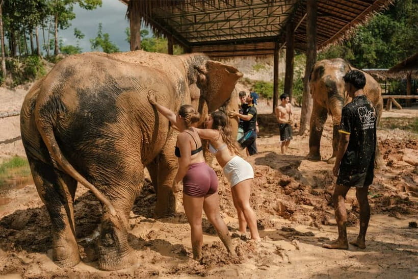 Krabi: Love Elephant Sanctuary Tour - Group size, timing, and the two-elephant question