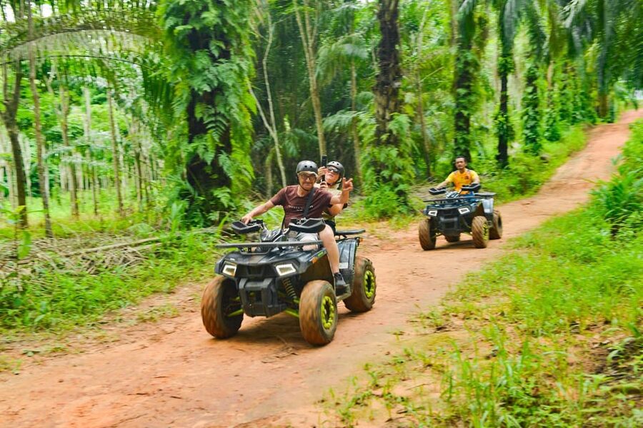 Krabi: Nature View Point Off-Road ATV Adventure - Rubber trees, palms, and fruit orchards