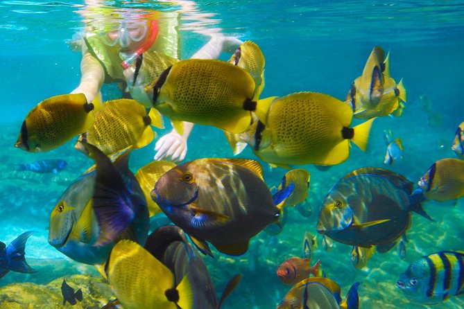 Krabi Nice Sea Snorkeling - Key points to know before you book