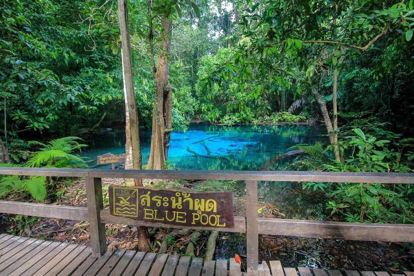 Krabi Outback Explorer to Emerald Pool & Wareerak Hotspring - Is $50 Good Value?