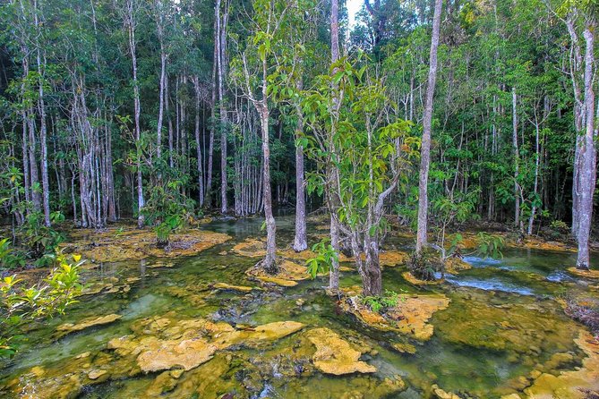 Krabi Outback Explorer to Emerald Pool, Wareerak Hotspring and Beyond - Blue Pool and the short walk to its source