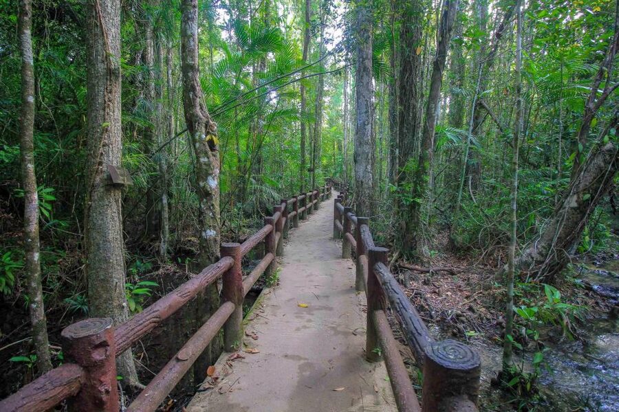 Krabi Outback Explorer with Visit of Tiger Cave Temple - Walking into Khao Pra Bang Khram Wildlife Sanctuary