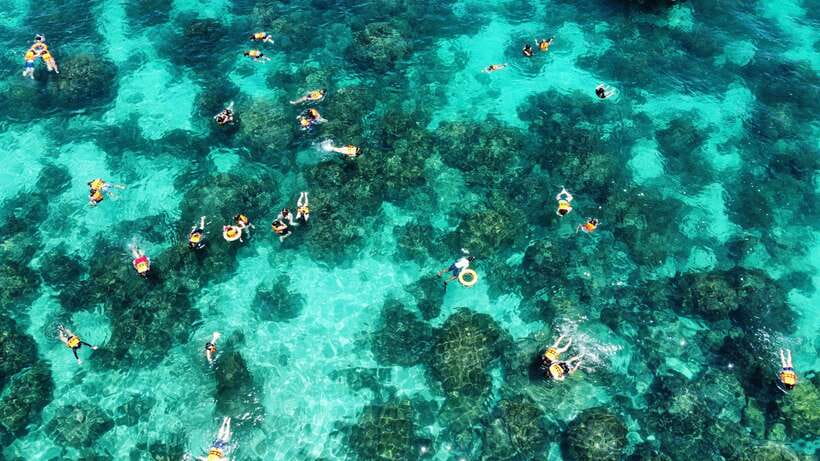 Krabi: Phi Phi and 4 Islands with Snorkeling by Speed Boat - Monkey Beach is a photo stop, not a beach visit
