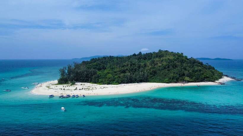 Krabi: Phi Phi Islands Speedboat Tour with Buffet Lunch - Snorkeling with fish and reef life