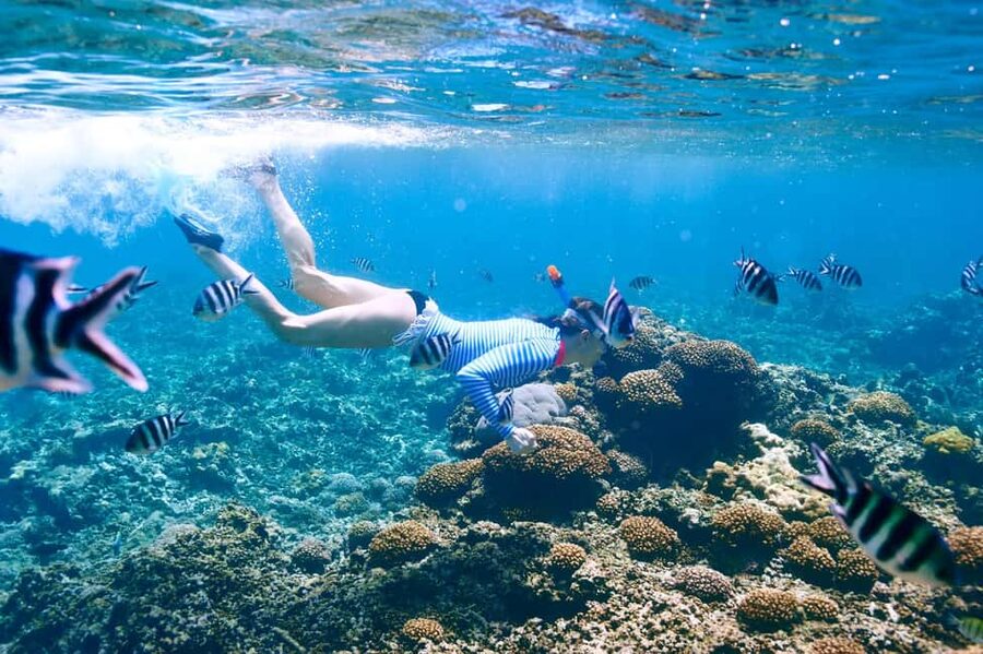 Krabi: Premium Phi Phi Islands Day Trip with Lunch & Snorkel - Key points to know before booking