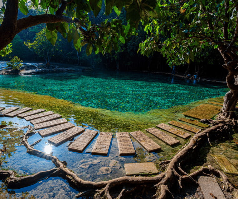 Krabi: Rainforest Jungle Tour with Emerald Pool & Hot Spring - What this Krabi jungle day really offers