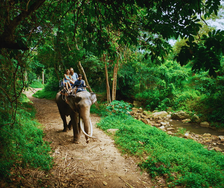 Krabi: Rainforest Jungle Tour with Emerald Pool & Hot Spring - Guides, lunch, and what is included