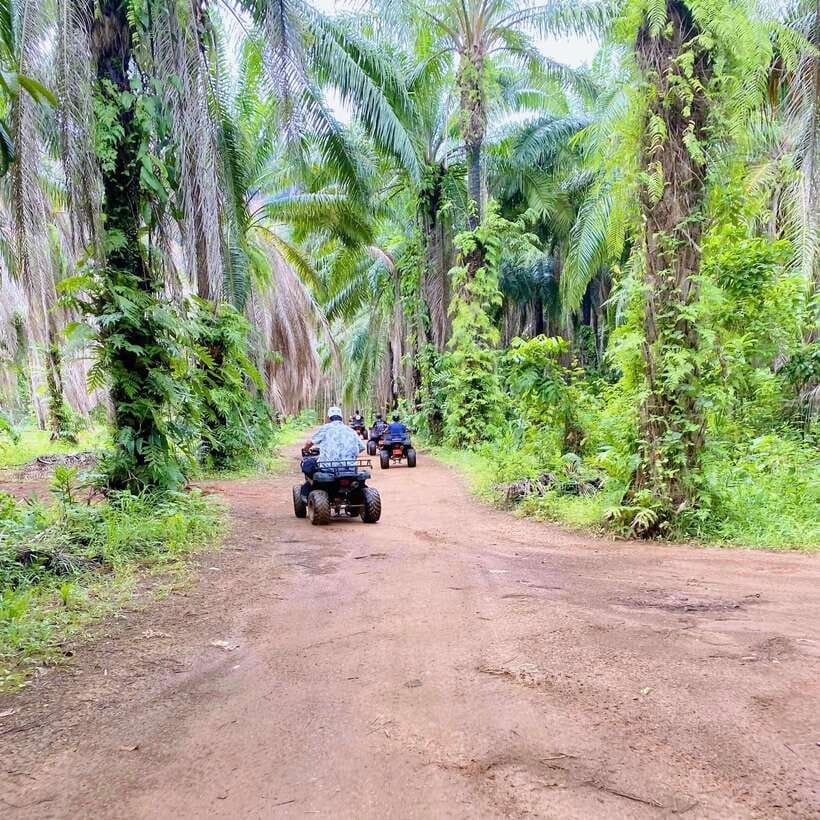 Krabi: Saitai Mountain Tail ATV Adventure - Dirt trails, plantations, and mountain views