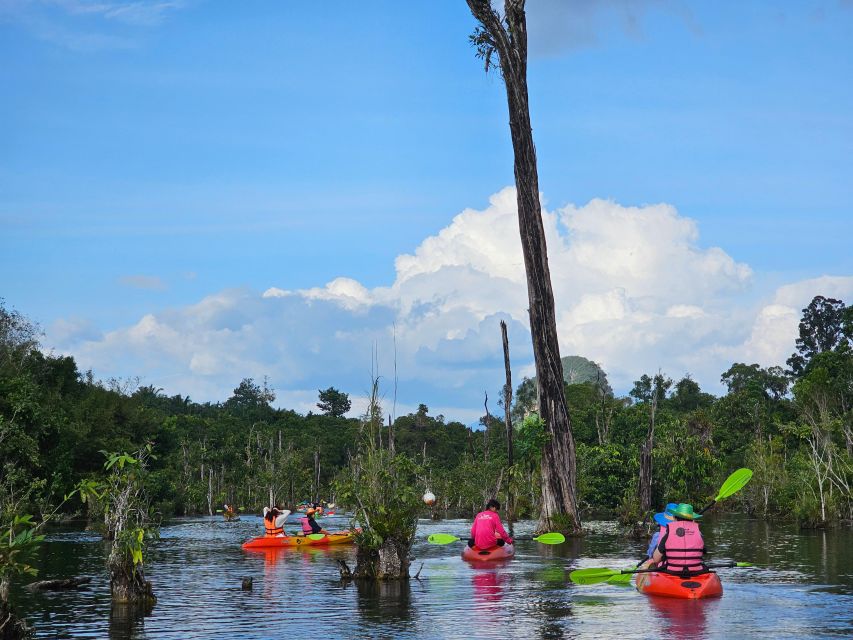 Krabi: South Kayak Klong Root Kayaking Tour - Key points to know before you book