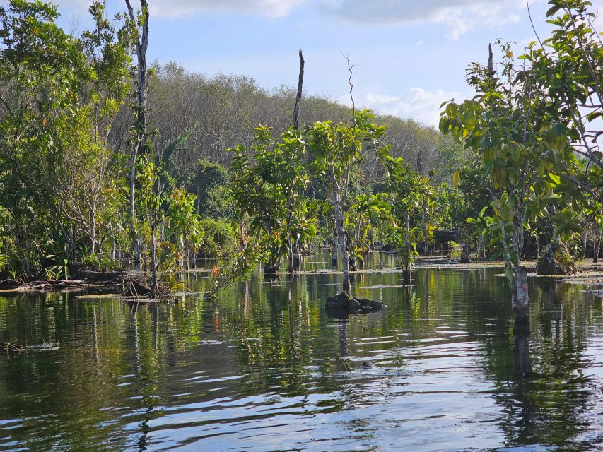 Krabi: South Kayak Klong Root Kayaking Tour - What the $18 price really covers