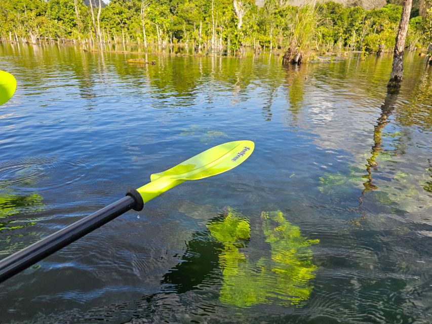 Krabi: South Kayak Klong Root Kayaking Tour - Transfers can change the value