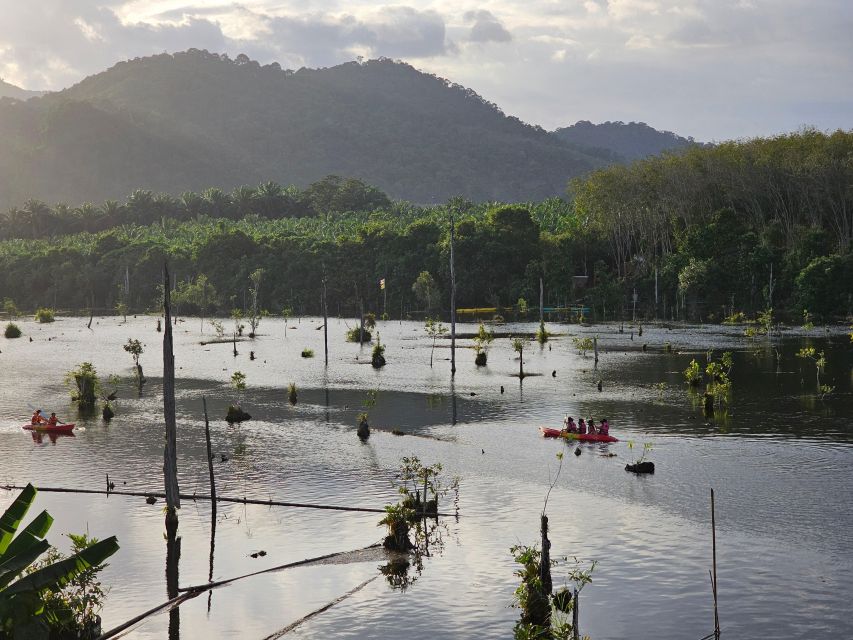 Krabi: South Kayak Klong Root Kayaking Tour - Adding elephant bathing or an ATV package
