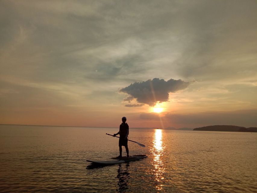 Krabi: Stand Up Paddle Board Rental Ao Nang Beach - What you may see around the mangroves
