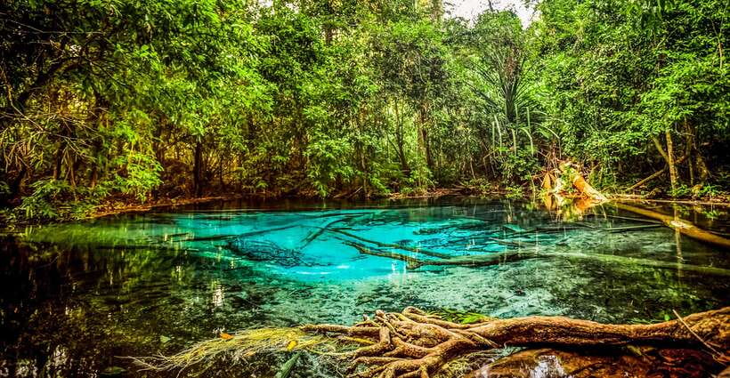 Krabi: Tiger Cave Temple, Emerald Pool and Hot Springs Tour - Guides make the long day easier