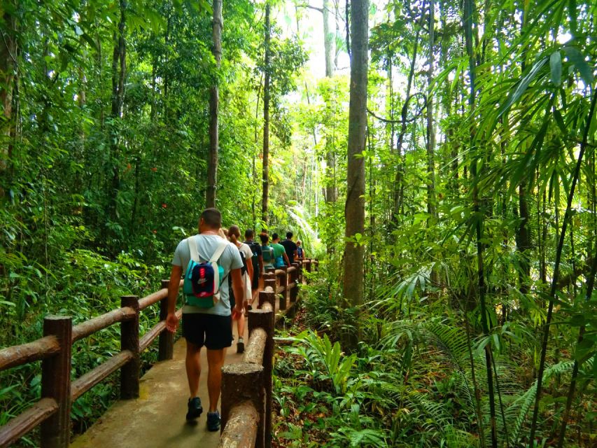 Krabi: Tiger Temple, Hot Springs & Crystal Pool Jungle Tour - Three Krabi sights, one demanding day