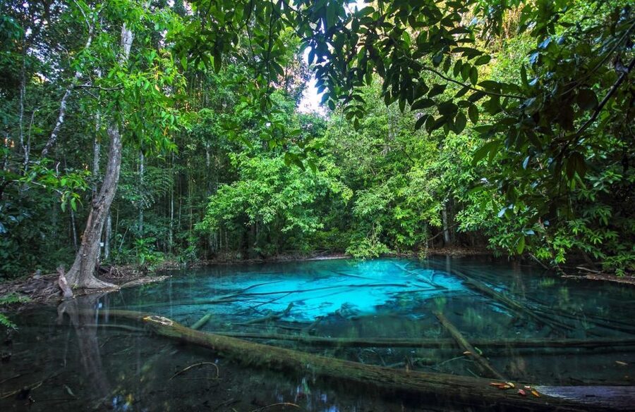 Krabi: Tiger Temple, Hot Springs & Crystal Pool Jungle Tour - Klong Thom hot springs and the 40°C waterfall