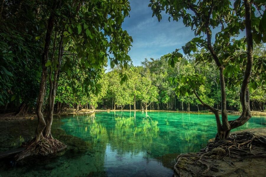 Krabi: Tiger Temple, Hot Springs & Crystal Pool Jungle Tour - Emerald Pool, a rainforest swim with a catch