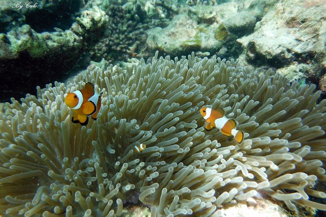 Krabi to James Bond and Hong Islands Offbeat Speedboat Tour - Why the offbeat route matters