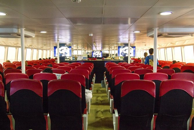 Krabi To Koh Tao(Tao Island) by Bus and Ferry - The real value at $66.94