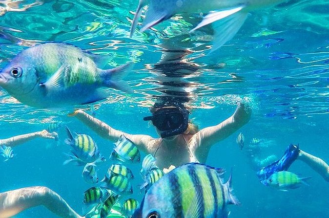 Krabi to Phi Phi Islands by Speedboat - Hotel pickup and the early start