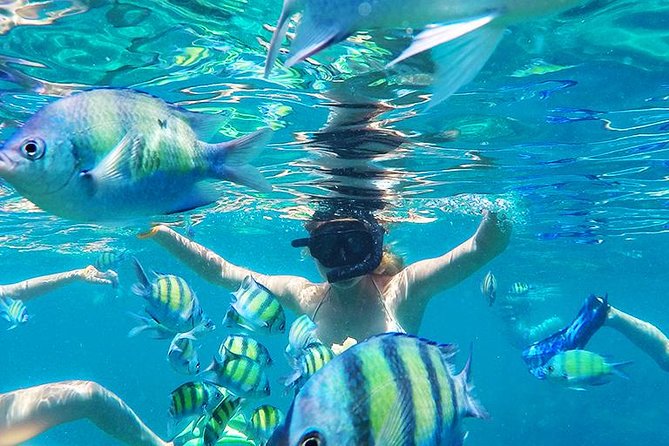 Krabi to Phi Phi Islands by Speedboat - The speedboat crossing from Krabi