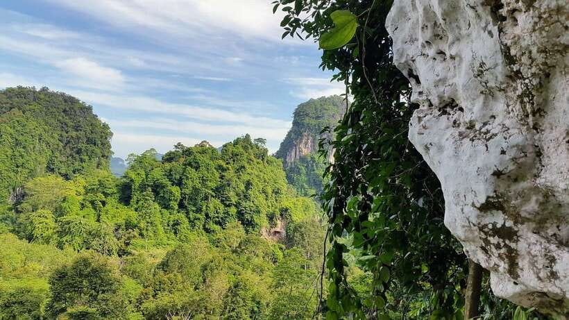 Krabi: Ziplining with Abseiling and Rock Climbing Options - Pickup from Ao Nang, Railay, and nearby areas