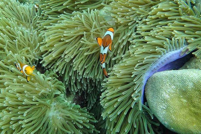 Lanta 4 Islands + Emerald Cave Snorkeling Tour - Ko Muk and the approach to Emerald Cave