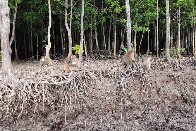 Lanta Old Town and Mangrove Forest Sightseeing Tour - Thai lunch with a view
