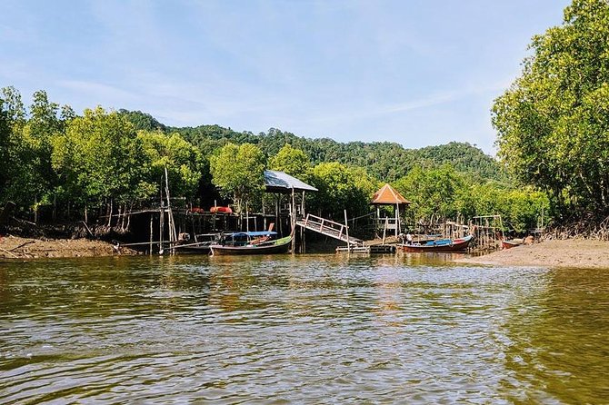 Lanta Old Town and Mangrove Forest Sightseeing Tour - Transport, guide quality, and group size
