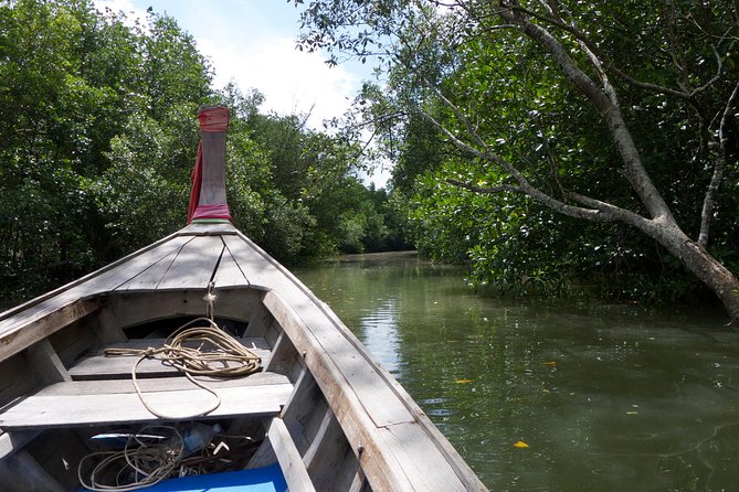 Mangrove Boat Tour in Krabi - Starting at Chao Fah Park Pier in Krabi Town