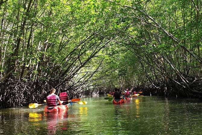 Mangrove Tour by Kayaking in Ko Lanta With Lunch - Key points at a glance