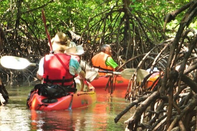 Mangrove Tour by Kayaking in Ko Lanta With Lunch - Wildlife encounters, especially the monkeys