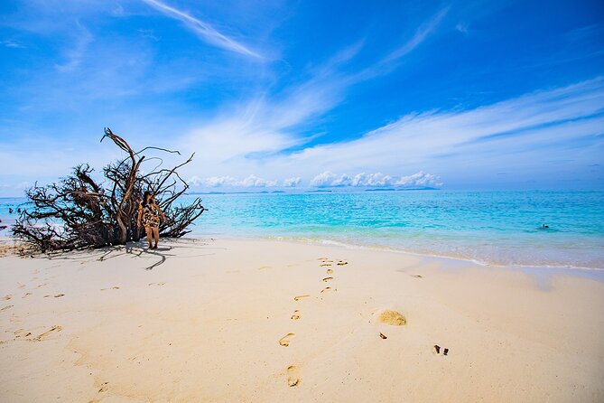 Maya Bay, Monkey Bay and Phi Phi Island Snorkeling Tour from Koh Lanta - Two hours at Ton Sai Pier for lunch