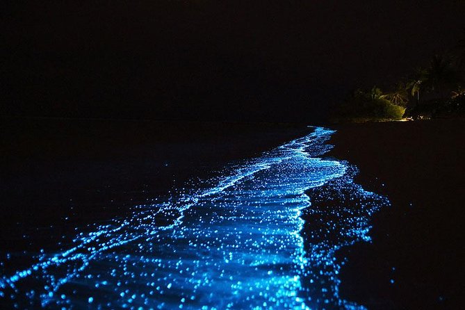 Maya Bay Sleep aboard Tour From Phi Phi - Swimming with phosphorescent plankton after dinner
