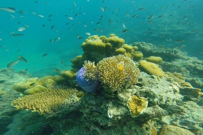 Oneday Tour 4 Islands and Emerald Cave By Tin Adventure Sea Tour from Koh Lanta - Key points at a glance