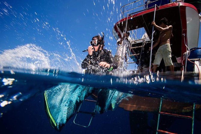 PADI Discover Scuba Diving Experience Full Day Trip - What this Ko Lanta scuba day is really like