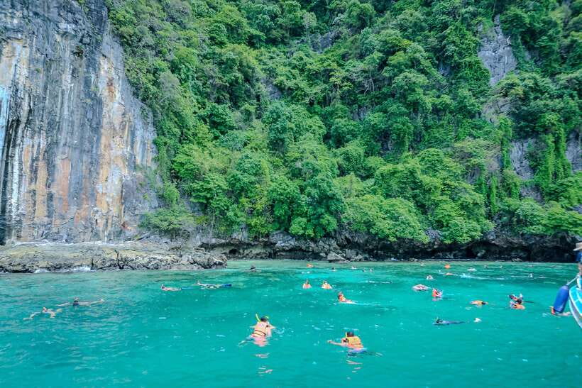 Phi Phi : Half Day By Speed Boat 4 hours Phi Phi Lay - Monkey Beach brings the first close-up